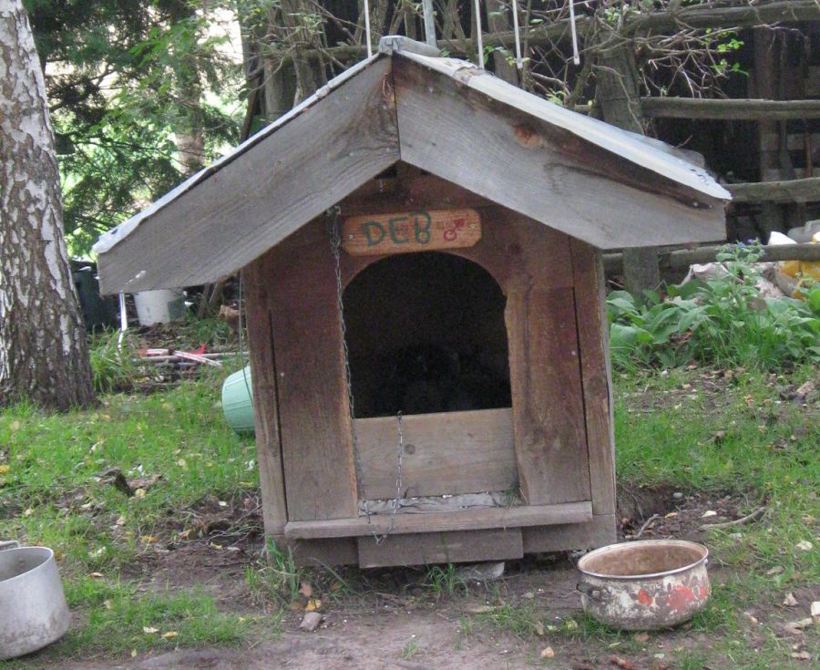 outdoor dog house for winter
